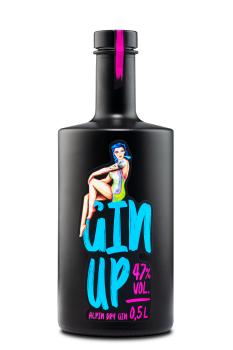 GinUp Alpine Dry Gin 50cl